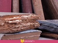 Skradziono dzieła Mikołaja Kopernika i Leonardo da Vinci